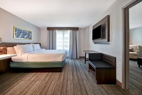 Hilton Garden Inn Houston Galleria