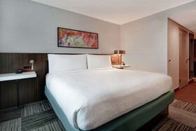 Hilton Garden Inn Houston Galleria