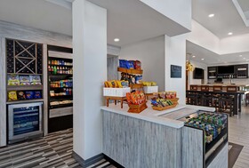 Hilton Garden Inn Houston Galleria
