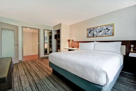 Hilton Garden Inn Houston Galleria