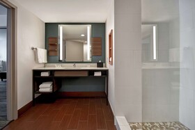 Hilton Garden Inn Houston Galleria