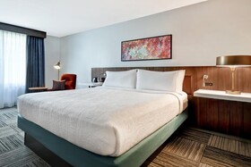 Hilton Garden Inn Houston Galleria