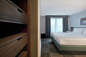 Hilton Garden Inn Houston Galleria