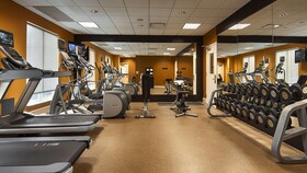 Hilton Garden Inn Houston Galleria
