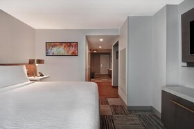 Hilton Garden Inn Houston Galleria
