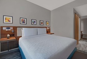 Hilton Garden Inn Houston Medical Center