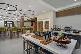 Hilton Garden Inn Houston Medical Center