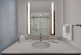 Hilton Garden Inn Houston Medical Center