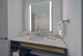 Hilton Garden Inn Houston Medical Center
