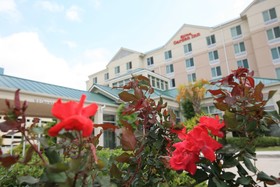 ACP Hotel Houston Westchase, MOD Collection by Sonesta