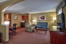 Holiday Inn Express Hotel & Suites Houston-Downtown Convention Center
