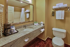 Holiday Inn Express Hotel & Suites Houston-Downtown Convention Center