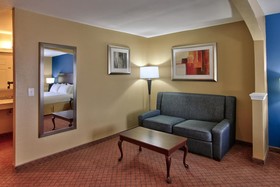 Holiday Inn Express Hotel & Suites Houston-Downtown Convention Center