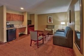 Holiday Inn Express Hotel & Suites Houston-Downtown Convention Center