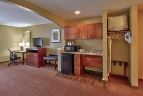 Holiday Inn Express Hotel & Suites Houston-Downtown Convention Center