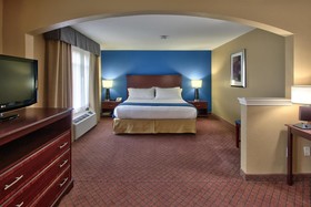 Holiday Inn Express Hotel & Suites Houston-Downtown Convention Center