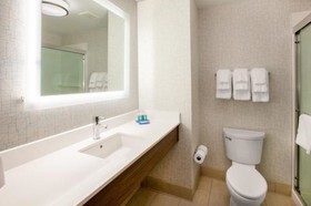Holiday Inn Express Houston Galleria Area