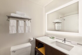 Holiday Inn Houston Intercontinental Airport