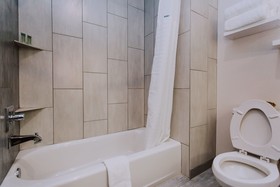 Palace Inn Airtex