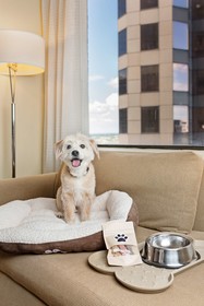 Hyatt Regency Houston