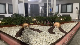 Island Suites Hobby Airport