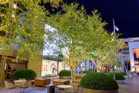 Luxe Life Properties