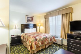 Mainstay Suites Texas Medical Center/Reliant Park