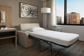 Houston Marriott Medical Center/Museum District