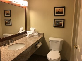 Comfort Inn & Suites SW Houston Sugarland