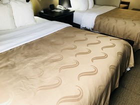 Quality Suites