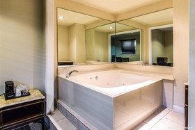 Rodway Inn & Suites Houston Medical Center