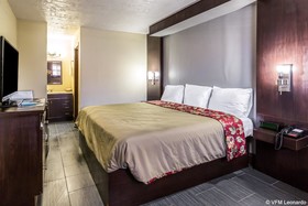 Rodway Inn & Suites Houston Medical Center
