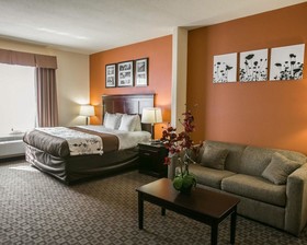 Sleep Inn & Suites Hwy 290/NW Freeway