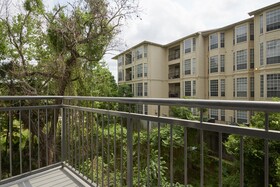 Bayou on the Bend