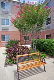 Sonesta Simply Suites Houston W Beltway