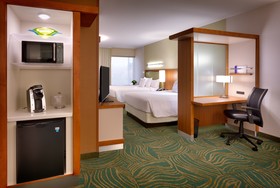 SpringHill Suites Houston I-45 North