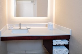 SpringHill Suites Houston Medical Center/ NRG Park