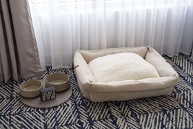 The Chifley Houston, Tapestry Collection by Hilton