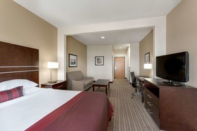 Wingate by Wyndham Houston / Willowbrook