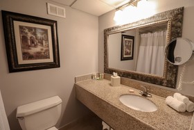 Wingate Houston Near NRG Park/medical Center