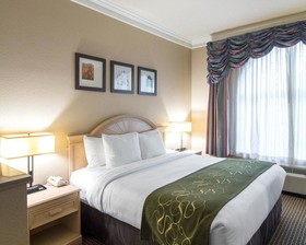 Comfort Suites Kingwood Houston North