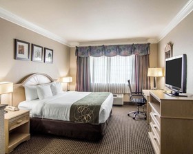 Comfort Suites Kingwood Houston North