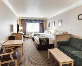 Comfort Suites Kingwood Houston North