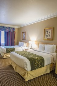 Comfort Suites Kingwood Houston North