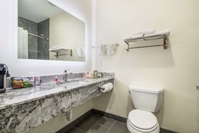 Econo Lodge Inn & Suites Humble Fm1960 - Iah Airport