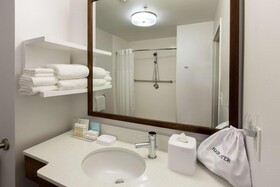 Hampton Inn Houston-Humble
