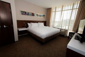 Hilton Garden Inn Dallas at Hurst Conference Center