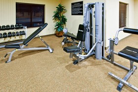 Holiday Inn Express Hotel & Suites West Hurst DFW Airport