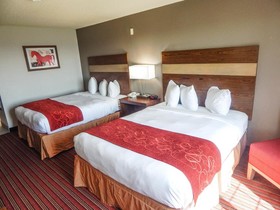 Country Inn & Suites by Radisson, DFW Airport South, TX