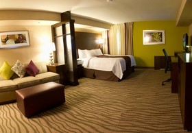 Fairfield Inn & Suites Dallas DFW Airport South/Irving
